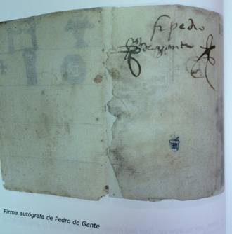 Figura 1
